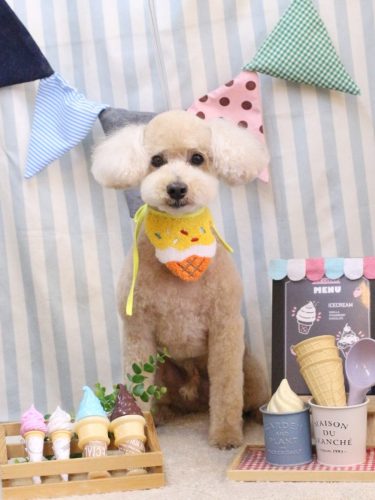 20250527モコくん